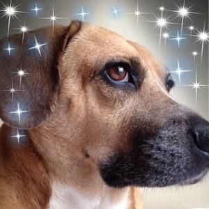 Meet your Posher, Steve